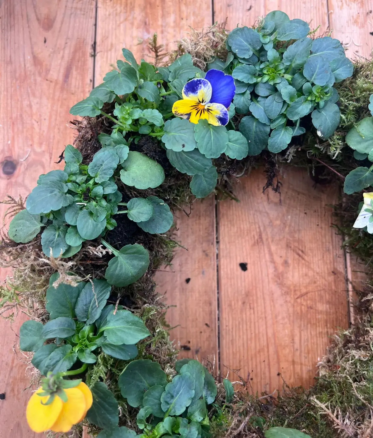 Installations & statements — wedding flowers by Moo's Flowers
