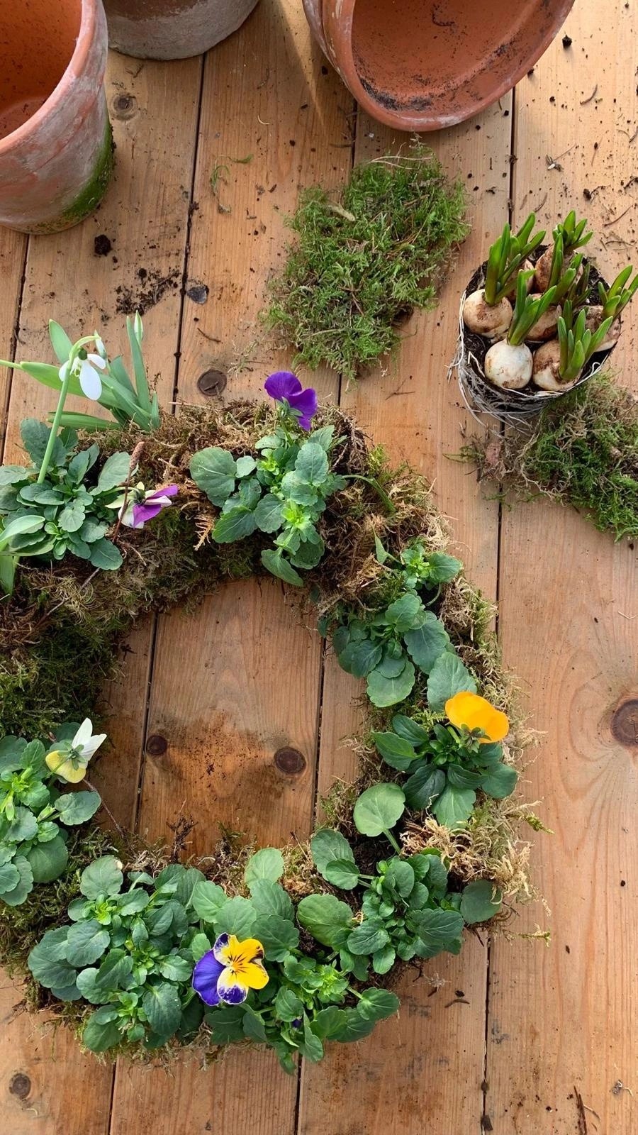 Living wreath crafted by Moo's Flowers, natural florist in Essex